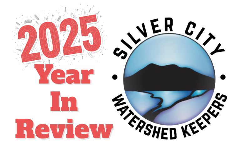 2025 Program Year in Review