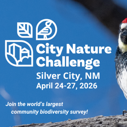 City Nature Challenge 2026
