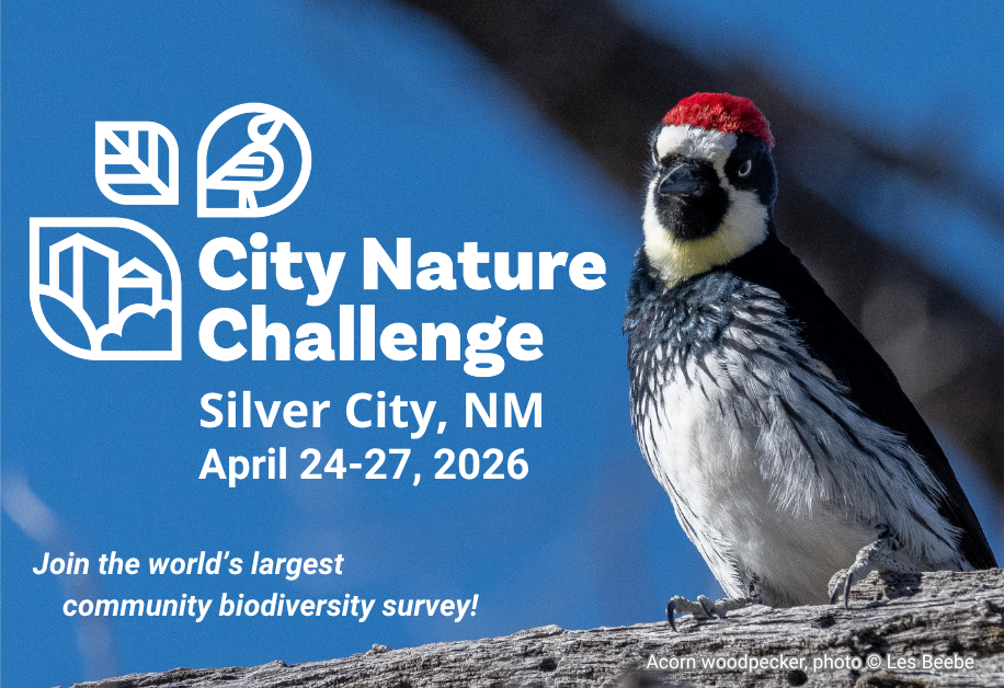 City Nature Challenge 2026